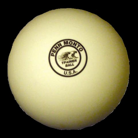 Photo of Penn Monto Trainer Ball